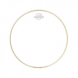 PARCHE 20" AQUARIAN SERIE MESH WH SM20